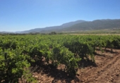 Terreno no urbanizable en venta en la España, Laujar de Andarax, ref: TR328543 foto