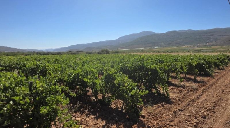 Almería - Лауар-де-Андаракс - 23499m2