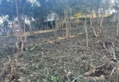 Sòl urbà en venda a la España, Lloret de Mar, ref.: TR116927 foto