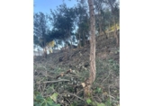 Sòl urbà en venda a la España, Lloret de Mar, ref.: TR116927 foto