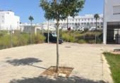Casa amb terreny en venda a la España, Vejer de la Frontera, ref.: TR298005 foto