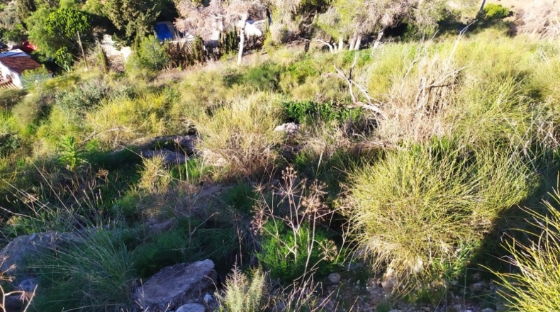 Malaga - Nerja - 5000m2