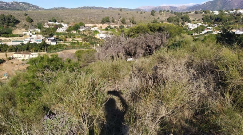 Malaga - Nerja - 5000m2