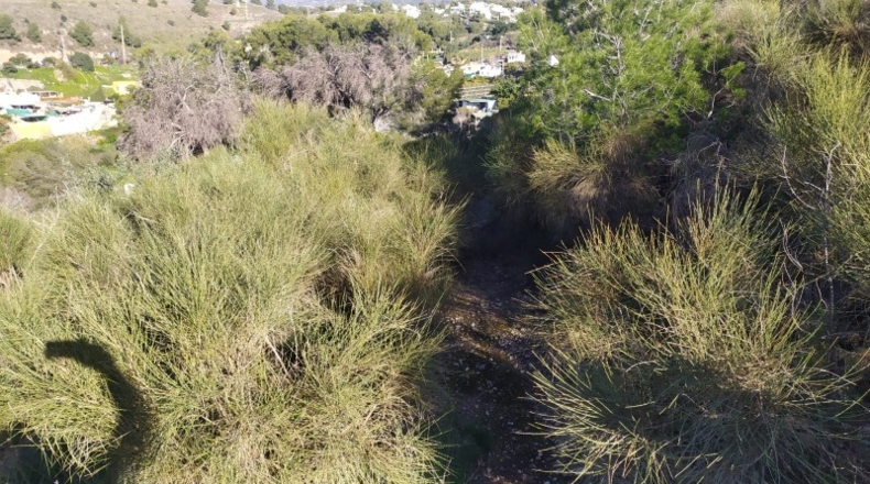 Malaga - Nerja - 5000m2