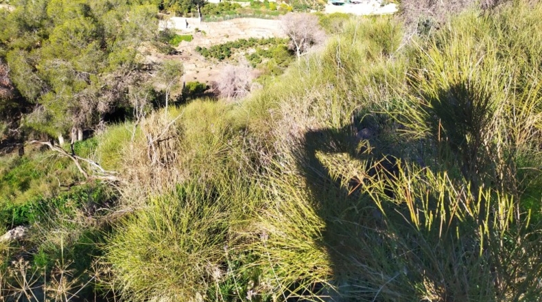 Malaga - Nerja - 5000m2