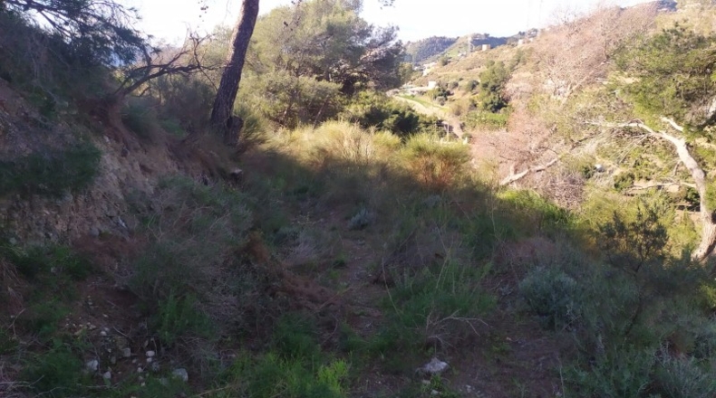 Malaga - Nerja - 5000m2