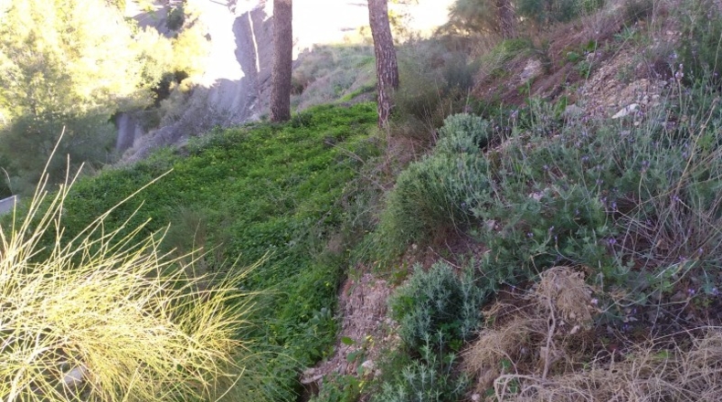Malaga - Nerja - 5000m2