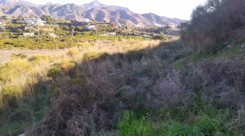 Malaga - Nerja - 5000m2