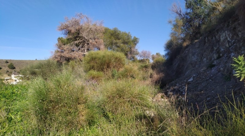 Malaga - Nerja - 5000m2