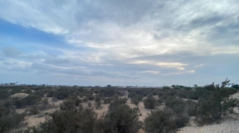 Alicante - Elche - 16412m2