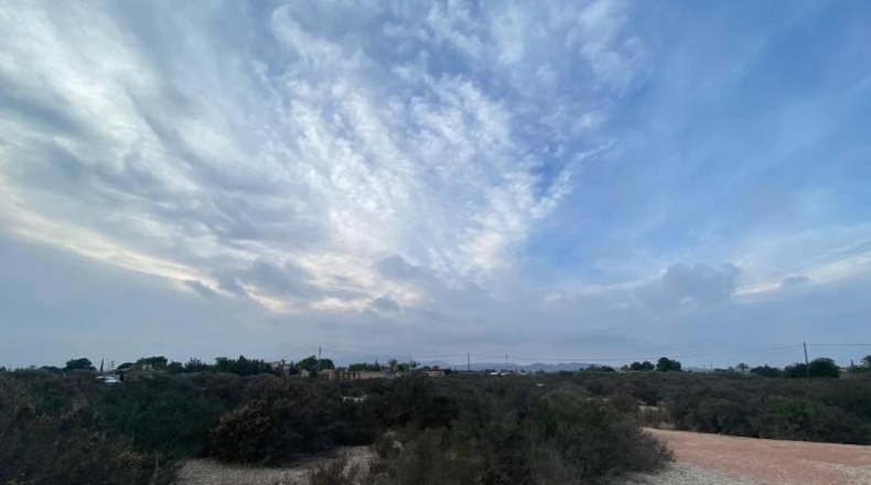 Alicante - Elche - 16412m2