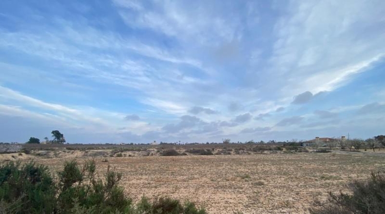 Alicante - Elche - 16412m2