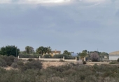 Terreny no urbanitzable en venda a la España, Elx, ref.: TR228499 foto