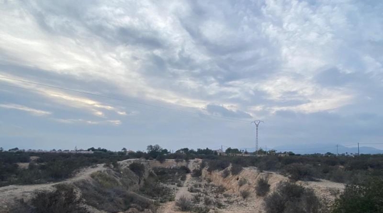 Alicante - Elche - 16412m2