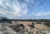 Terreny no urbanitzable en venda a la España, Elx, ref.: TR228499 foto