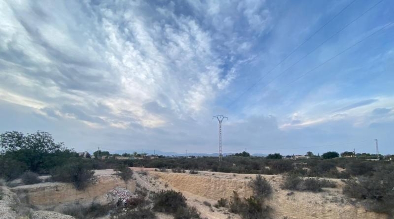 Alicante - Elche - 16412m2