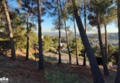 Parcel·la urbanitzable en venda a la España, Sentmenat, ref.: TR116635 foto