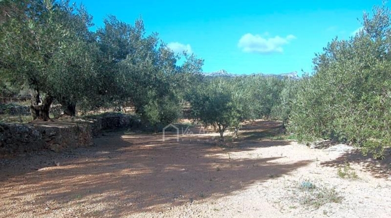 Tarragona - el Perelló - 16000m2