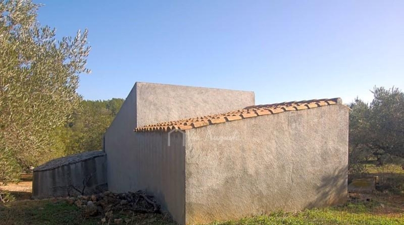 Tarragona - el Perelló - 16000m2