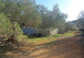 Terreno no urbanizable en venta en la España, el Perelló, ref: TR113415 foto