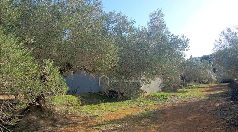 Tarragona - el Perelló - 16000m2