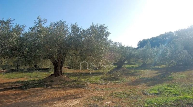 Tarragona - el Perelló - 16000m2