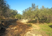 Terreno no urbanizable en venta en la España, el Perelló, ref: TR113415 foto