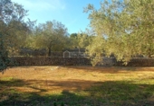 Terreno no urbanizable en venta en la España, el Perelló, ref: TR113415 foto