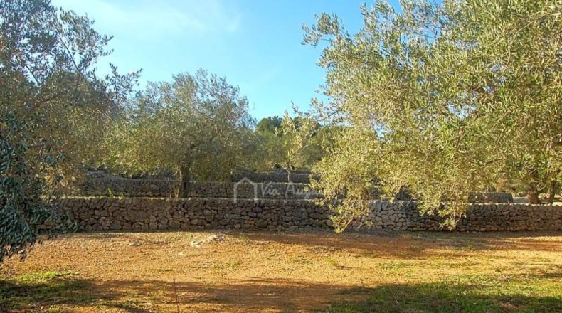Tarragona - el Perelló - 16000m2