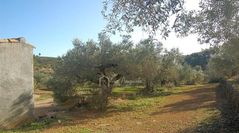 Tarragona - el Perelló - 16000m2