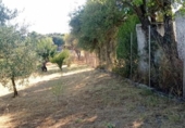 Terreny no urbanitzable en venda a la España, El Bosque, ref.: TR123104 foto