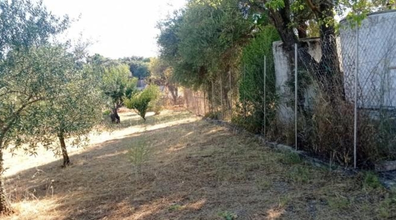 Cádiz - El Bosque - 1680m2