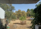 Terreny no urbanitzable en venda a la España, El Bosque, ref.: TR123104 foto