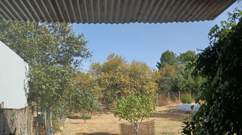 Cádiz - El Bosque - 1680m2