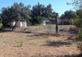 Terreny no urbanitzable en venda a la España, El Bosque, ref.: TR123104 foto