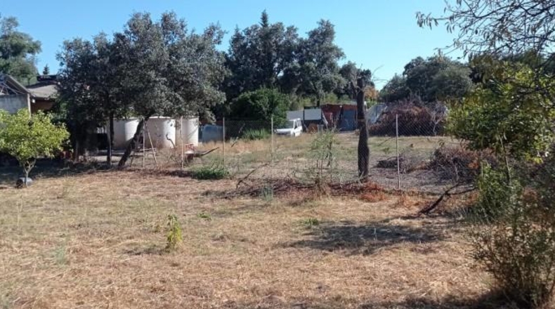 Cádiz - El Bosque - 1680m2