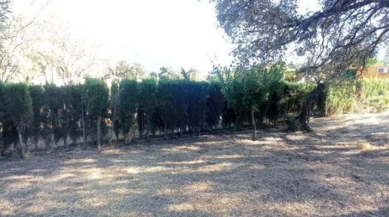 Cádiz - El Bosque - 1680m2