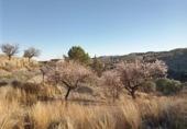 Casa de campo con terreno en venta en la España, Puerto Lumbreras, ref: TR140848 foto