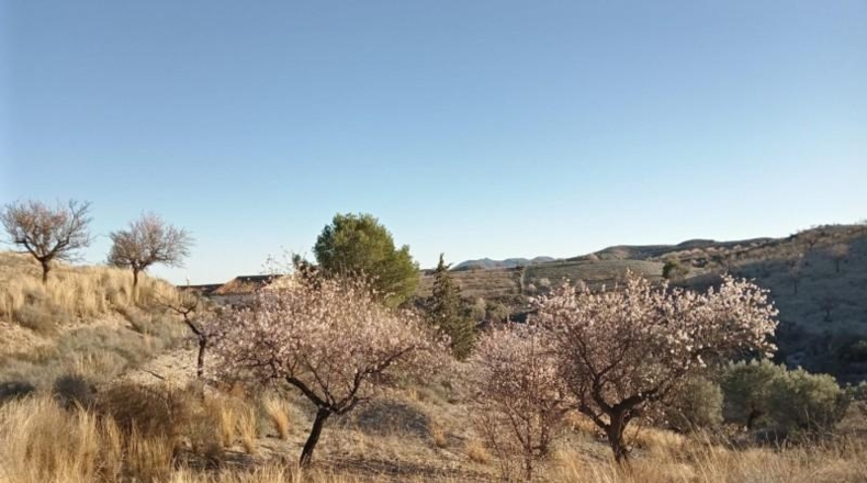 Murcia - Puerto Lumbreras - 11400m2