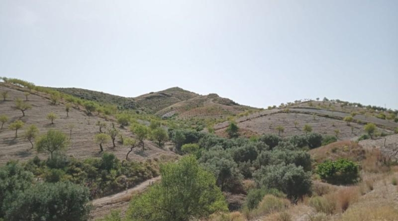 Murcia - Puerto Lumbreras - 11400m2