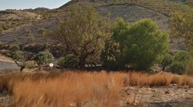 Murcia - Puerto Lumbreras - 11400m2