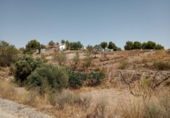Casa de campo con terreno en venta en la España, Puerto Lumbreras, ref: TR140848 foto