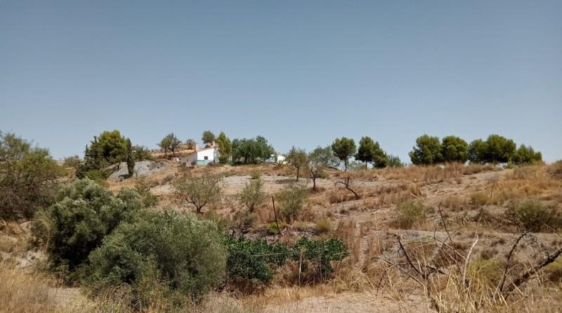 Murcia - Puerto Lumbreras - 11400m2