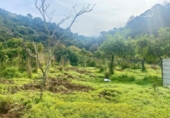Non-developable land for sale on España, Estepona, ref: TR319750 photo