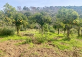Non-developable land for sale on España, Estepona, ref: TR319750 photo