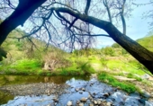 Non-developable land for sale on España, Estepona, ref: TR319750 photo