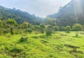 Non-developable land for sale on España, Estepona, ref: TR319750 photo