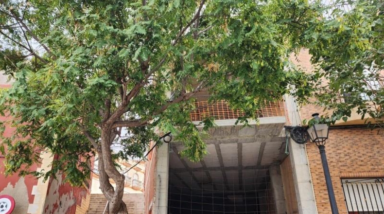 Alicante - Crevillente - 266m2