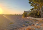 Casa de camp amb terreny en venda a la España, Sant Fulgenci, ref.: TR165294 foto
