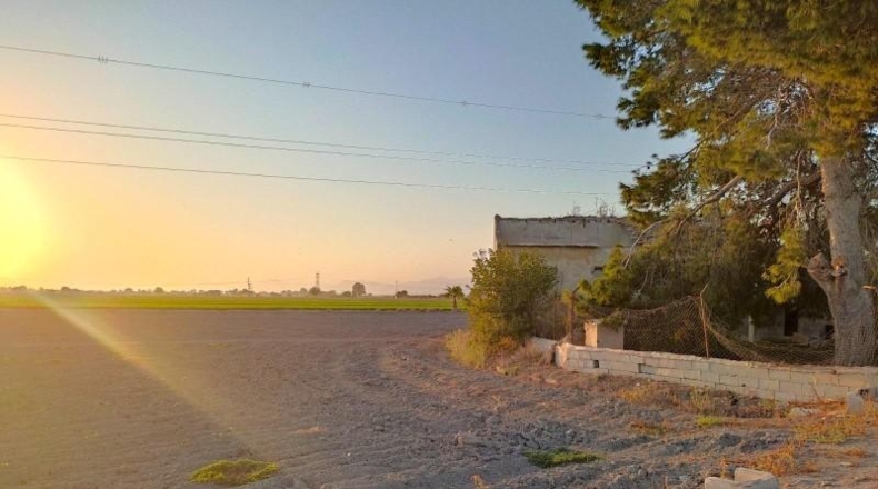 Alicante - San Fulgencio - 17651m2